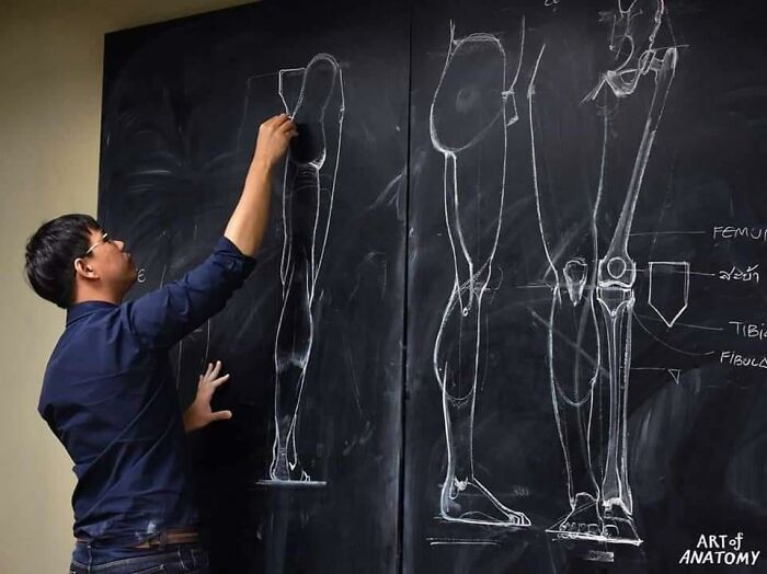Pics From This Anatomical Drawing Class In Thailand Are Going Viral Pics From This Anatomical Drawing Class In Thailand Are Going Viral