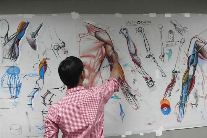 Pics From This Anatomical Drawing Class In Thailand Are Going Viral Pics From This Anatomical Drawing Class In Thailand Are Going Viral