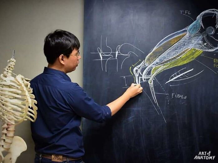 Pics From This Anatomical Drawing Class In Thailand Are Going Viral Pics From This Anatomical Drawing Class In Thailand Are Going Viral