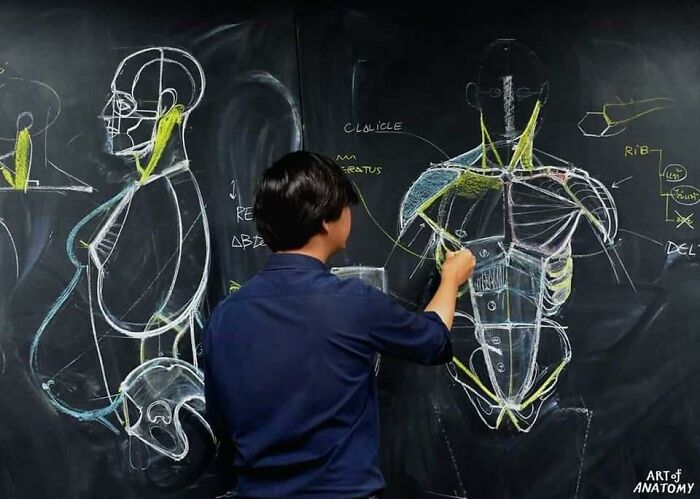 Pics From This Anatomical Drawing Class In Thailand Are Going Viral Pics From This Anatomical Drawing Class In Thailand Are Going Viral
