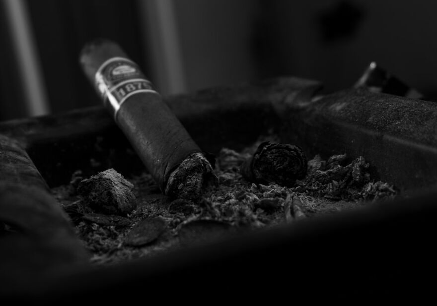 My Covid-19 Quarantine Shoot My Covid-19 Quarantine Shoot