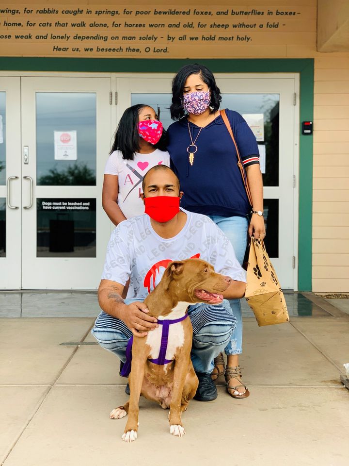2 Y.O. Dog Adopted After More Than 400 Days At The Wickenburg Humane Society Shelter 2 Y.O. Dog Adopted After More Than 400 Days At The Wickenburg Humane Society Shelter