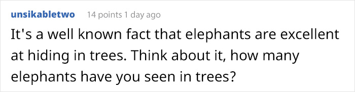 Adorable Baby Elephant Gets Caught Eating Sugarcane, Tries To Hide Behind A Narrow Light Pole