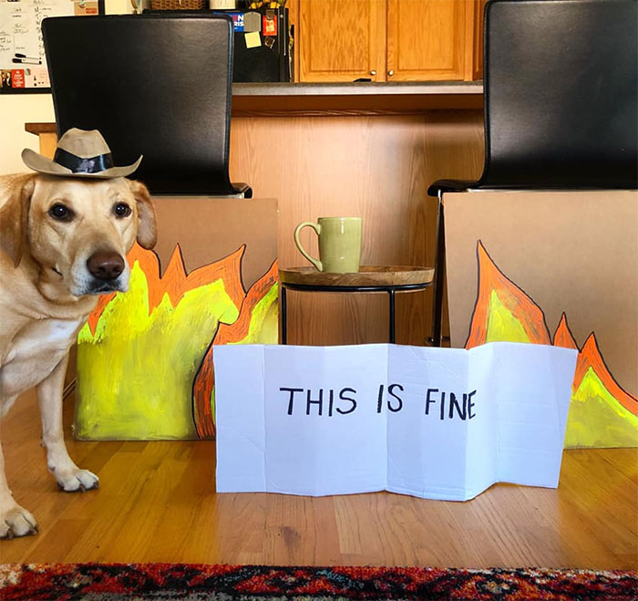 Gary Does Halloween 2020