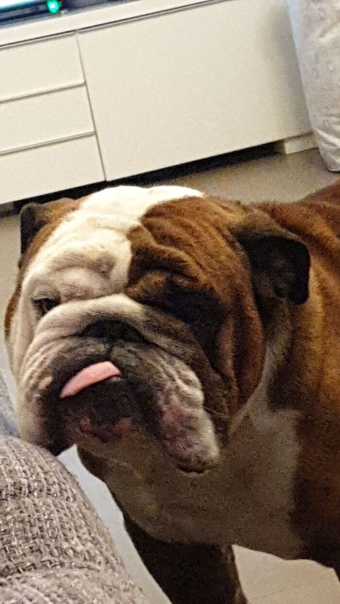 My Bully's Happy Face