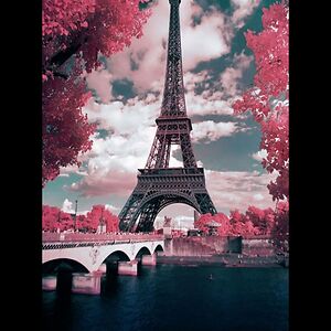 jasmine-hodgson14 avatar