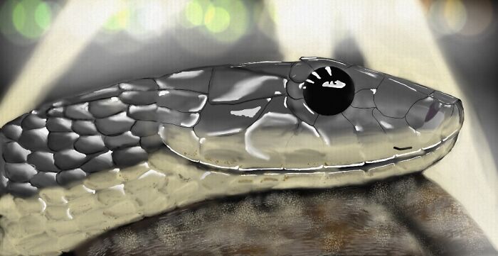 A Little Something I Did On Phone