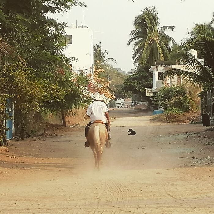 The Road To The Market In Puerto Escondido, Oaxaca, México