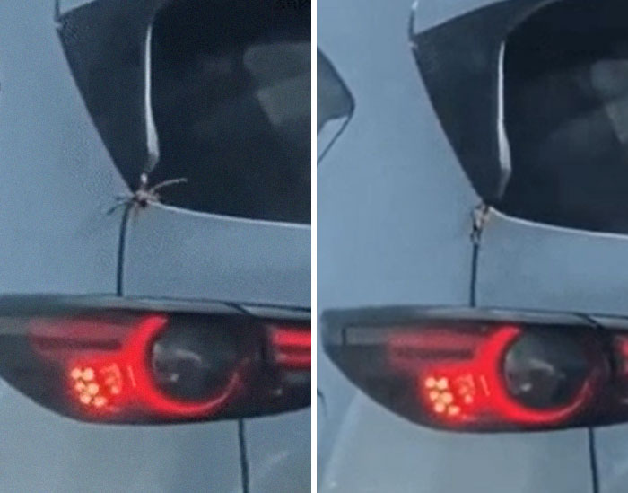 Should We Tell Them?