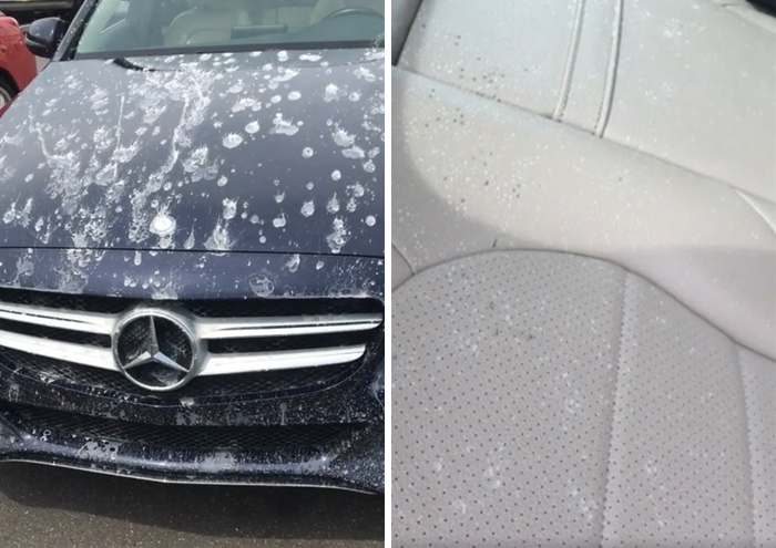 Spent 2 Hours Detailing My Car Yesterday Only To Have The Construction Crew Working On The Verrazano Bridge Dump Concrete Water All Over Me And Other Motorists Traveling In The Lower Level... Oh And My Sunroof Was Open