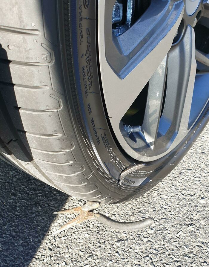 Driving My Wife's New Car (Still On The First Tank Of Gas) When This Happened