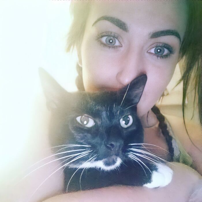 Owner Put A Tracker On Her Cat And Discovered She Has Been Visiting 5 Houses Owner Put A Tracker On Her Cat And Discovered She Has Been Visiting 5 Houses