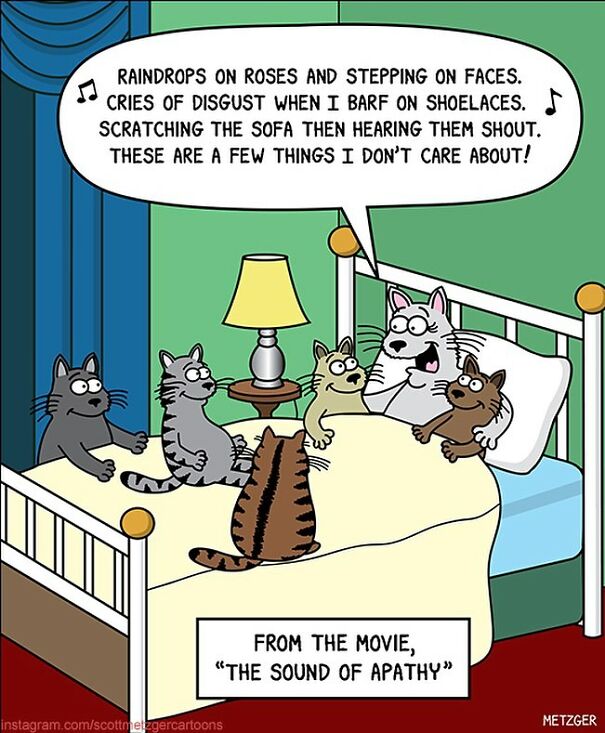 Cat Comics