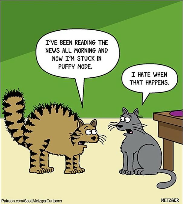 Cat Comics