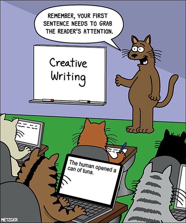 Cat Comics