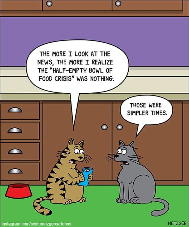 Cat Comics