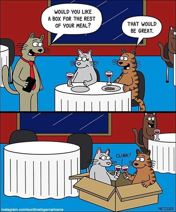 Cat Comics