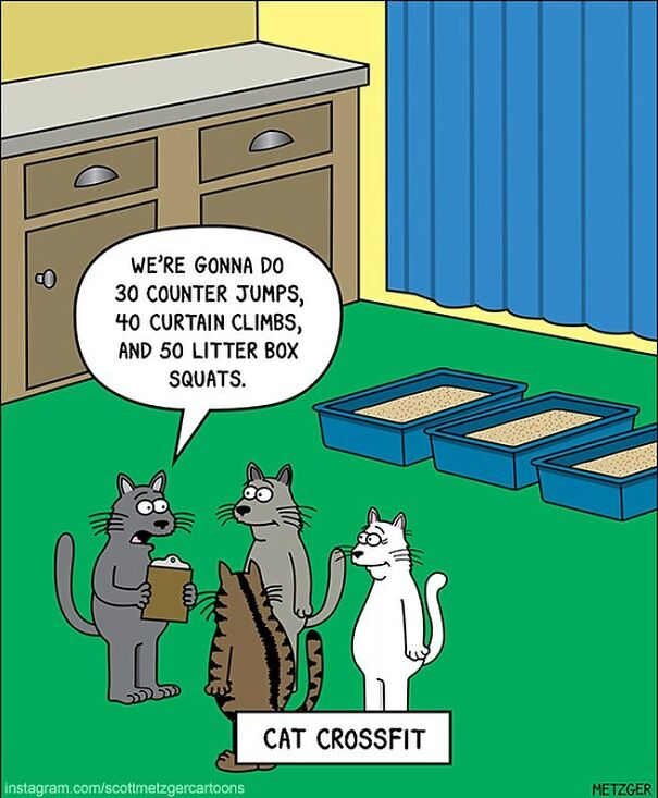 Cat Comics