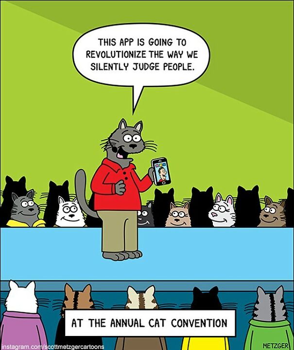 Cat Comics