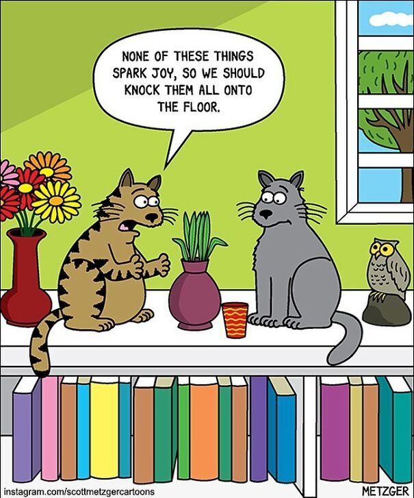 Cat Comics