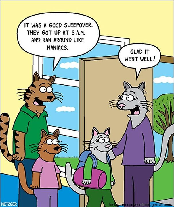 Cat Comics