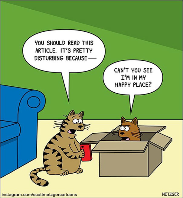 Cat Comics