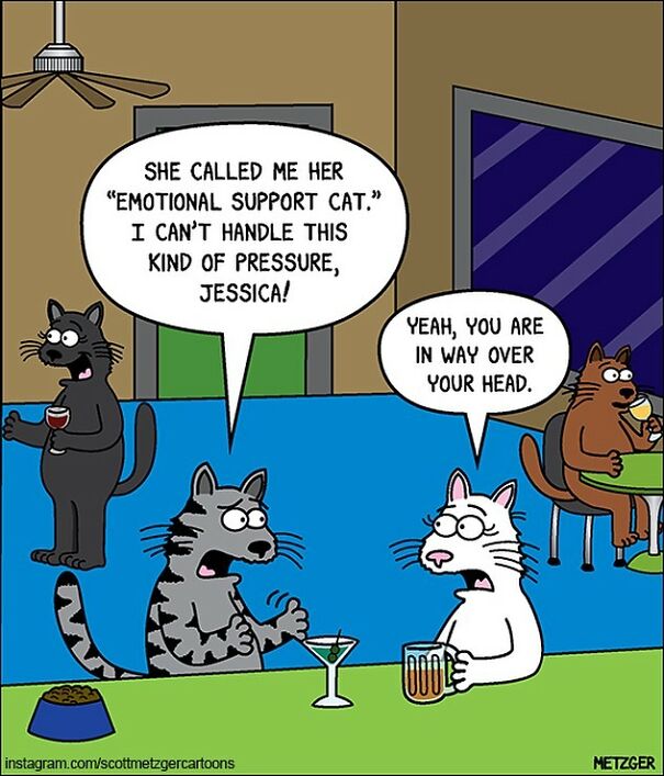 Cat Comics