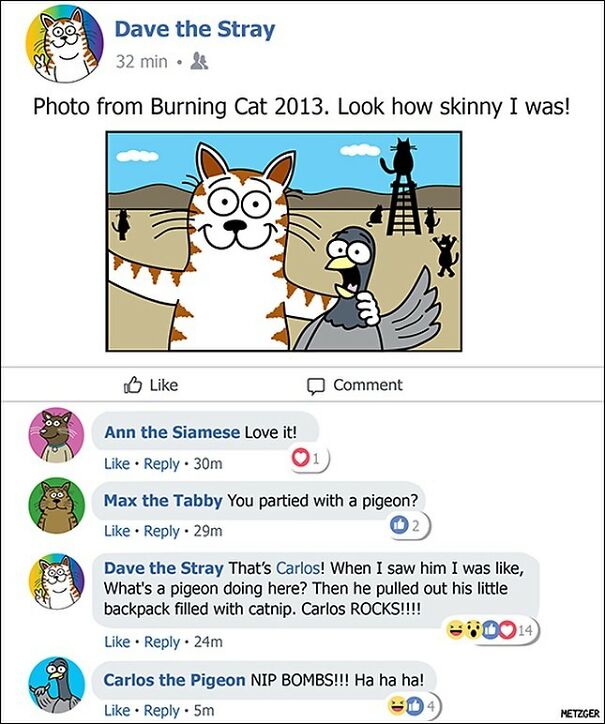 Cat Comics