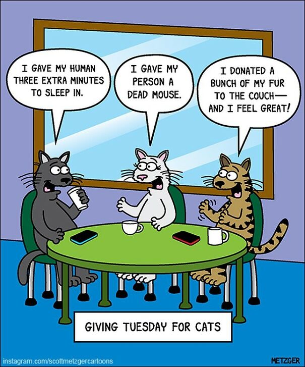 Cat Comics