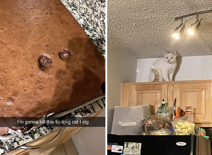 Yeah Right, Catch Me If You Can