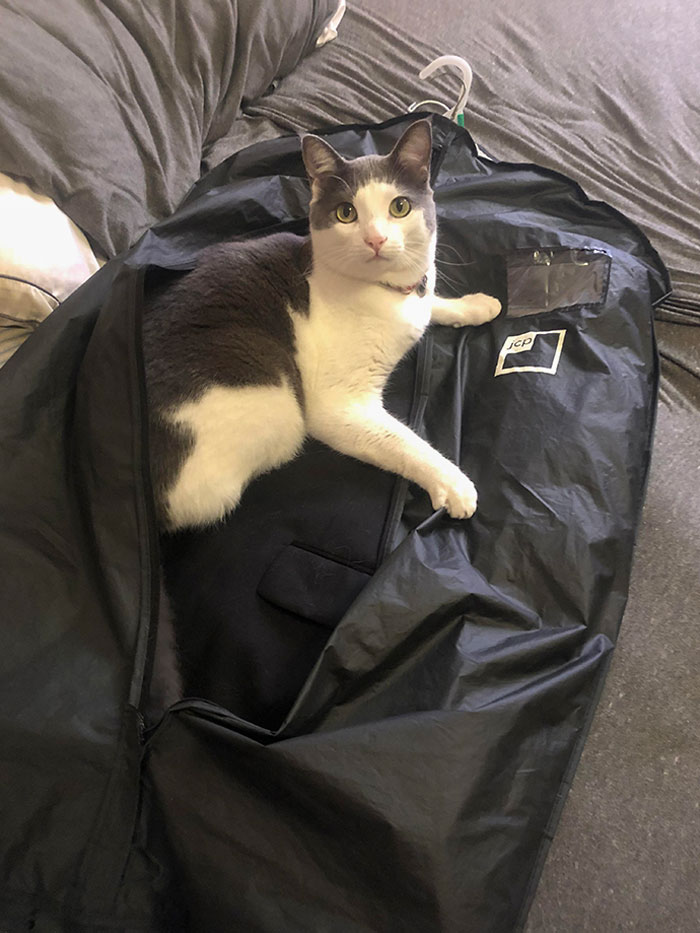 He Broke The Zipper On The Wardrobe Bag To Get Hair On My Boyfriend’s Tux The Day Before A Wedding