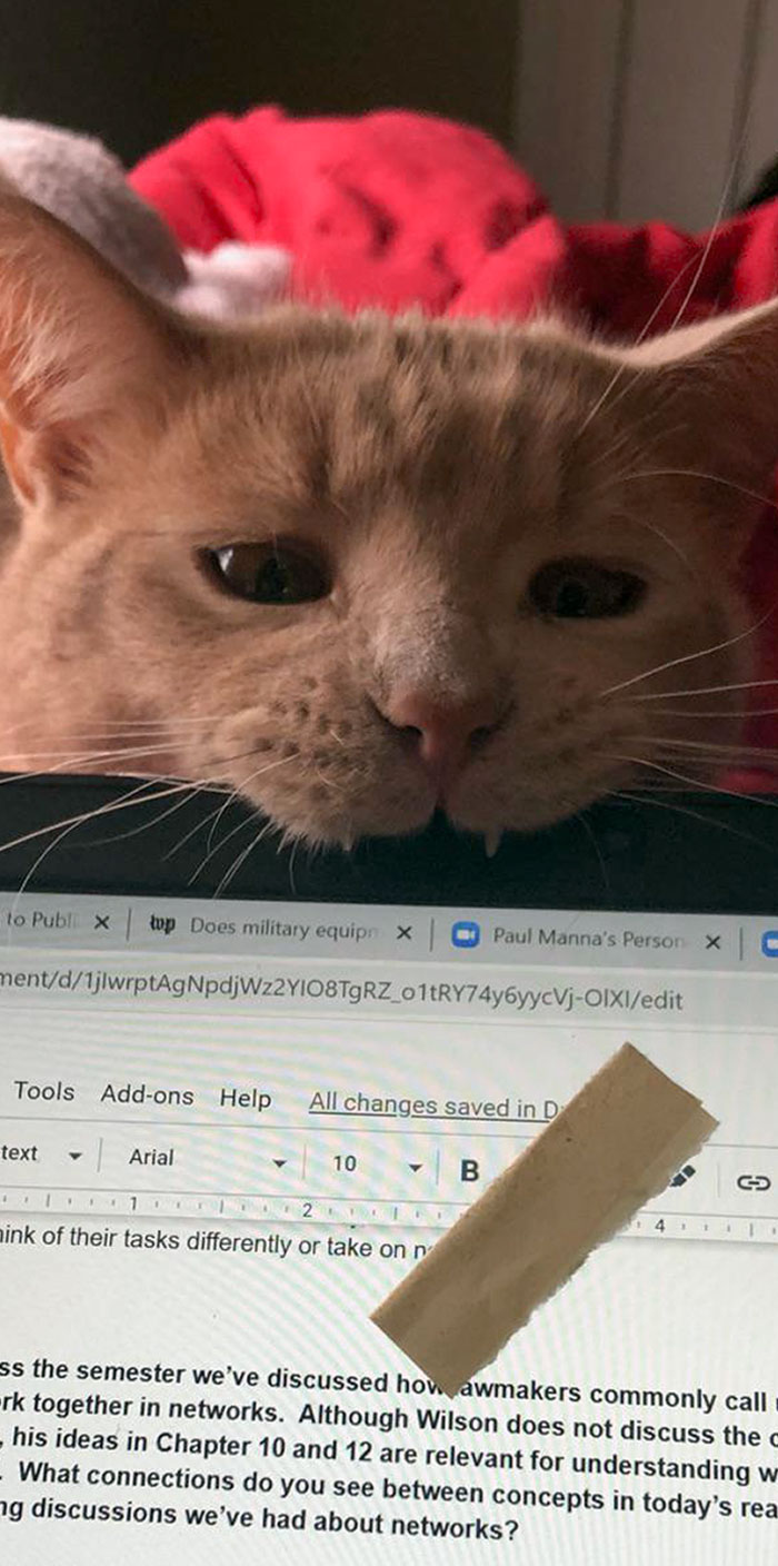 Wesley, I'm Trying To Do Homework