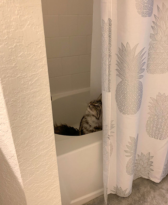  His Concerts Start At 4am And Last Until Everyone In The House Is Up With Him