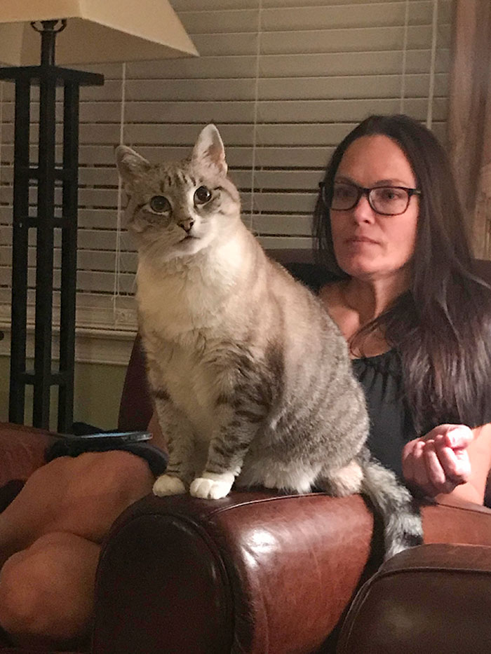 Nudge Chooses The One Person Who Is Allergic In A Room Full Of People