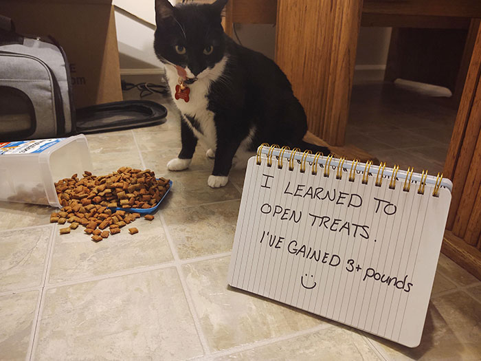 The Temptations Are Just Too Tempting