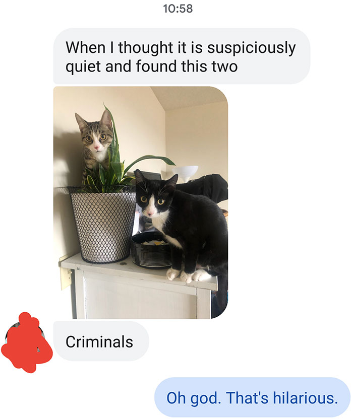 Wife Shared With Me Our Little Ones Caught About To Dig Up A Plant. Again