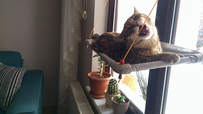 She Ripped Off That Just In 15 Minutes