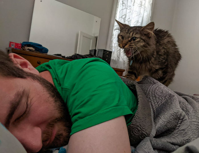 “Get The Damn Up And Feed Me Dave!”