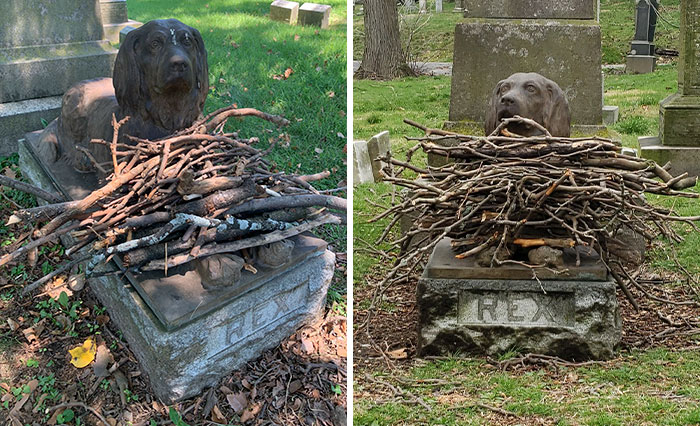 People Are Leaving Sticks At A Cemetery To Pay Tribute To This Dog Who Died 100 Years Ago