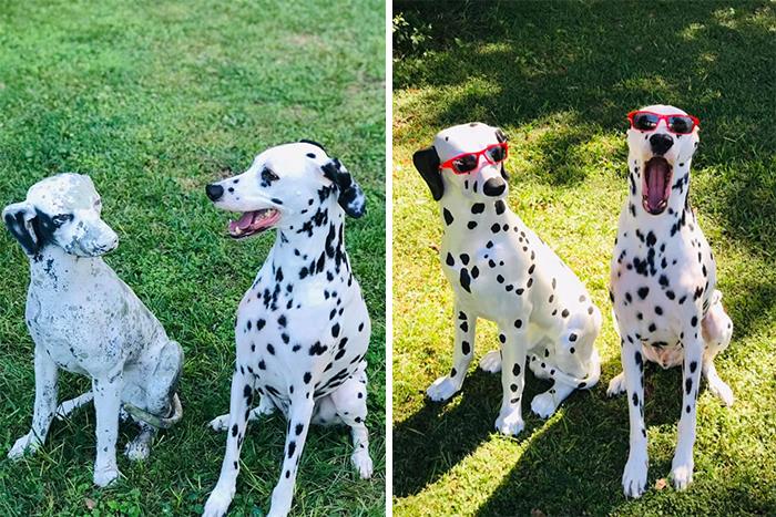 Before And After The Makeover! This Garden Dog Had Seen Better Days 10 Years Ago When I Found It By A Dumpster. The Florida Sun Did Even More Damage. It’s Spot On Now!