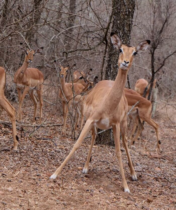 Kinda Wanna Run Away, Kinda Wanna Check What Food You Got