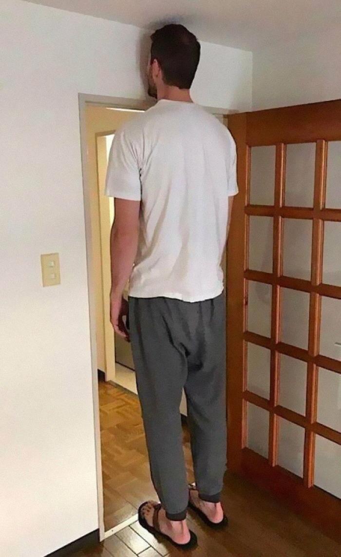 Brain.exe Has Stopped Working