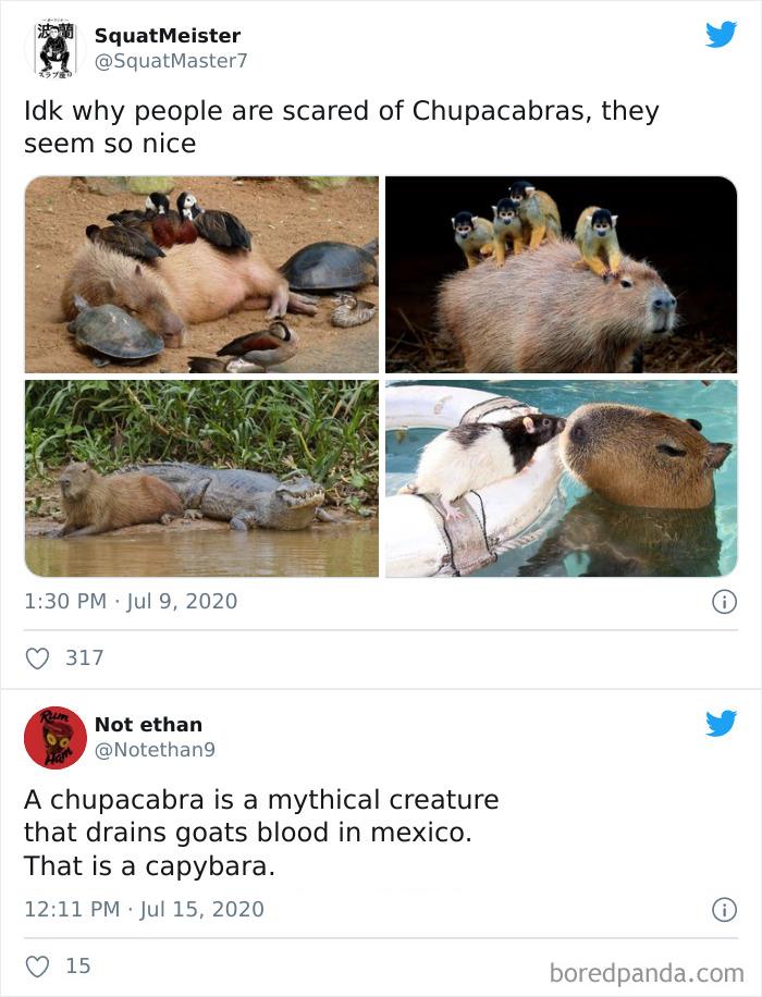 Chupacabras Seem So Nice