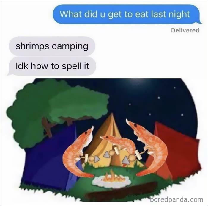 Shrimps Camping