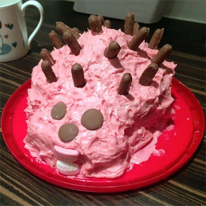 Hedgehog-Cake-Fails
