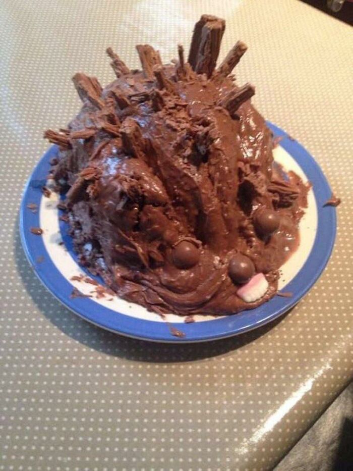 Hedgehog-Cake-Fails