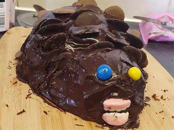 Hedgehog-Cake-Fails
