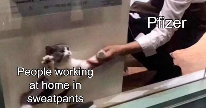 50 Of The Best Covid Vaccine Memes So Far