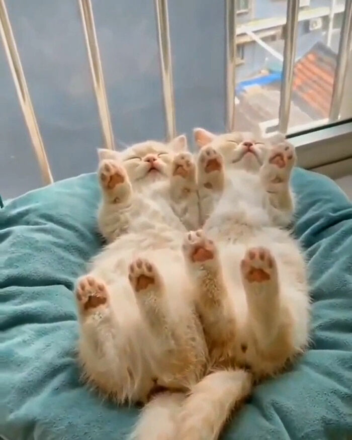 We Sleep With Our Toes To The Sky