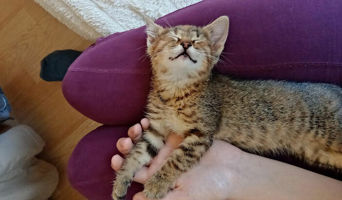 Day 5 Of Never Having To Sleep On The Streets Again